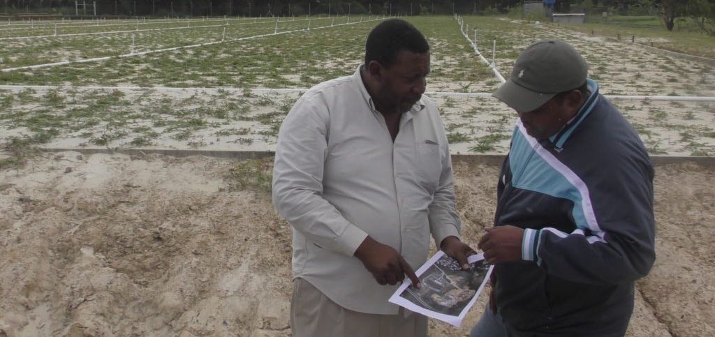 TTFA President David John-Williams (left) shows a graphic to Sports Minister Darryl Smith on Wednesday at the Home of Football site near to one of the new training fields currently under construction. Photo at top shows John-Williams and Smith along with Sportt Chairman Dinanath Ramnarine along with the other Sportt and TTFA officials on Wednesday. Photo/TTFA Media